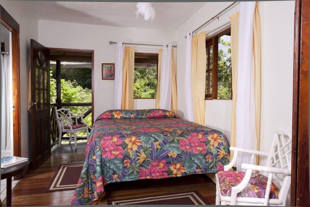 Forres Park Hotel Κίνγκστον Εξωτερικό φωτογραφία