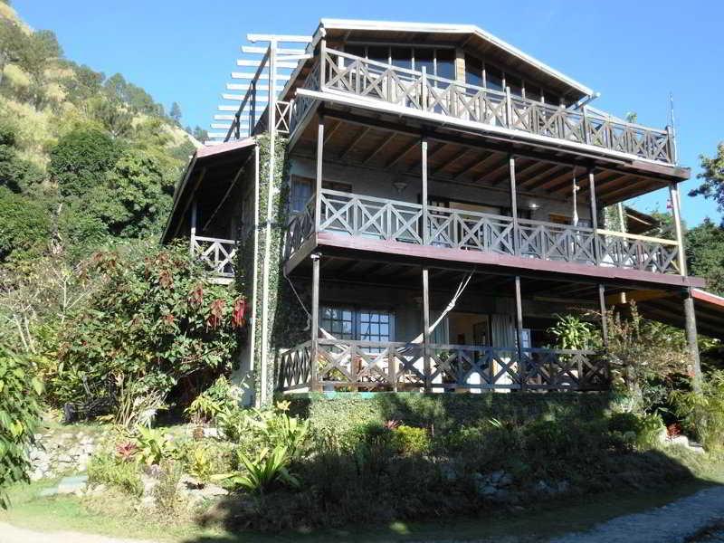 Forres Park Hotel Κίνγκστον Εξωτερικό φωτογραφία